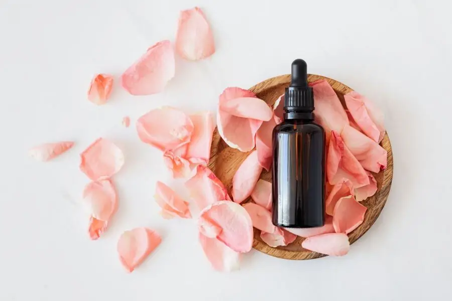Illustration d'ambiance : BTS esthétique cosmétique à Lyon (BTS MECP) : le guide complet, et l'après